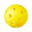 Indoor Pickleball | https://www.bestnamebadges.com