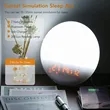 Wake Up Light Sunrise Alarm Clock | https://www.bestnamebadges.com