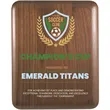 8" x 10" Elliptical Edge Round Corner Genuine Walnut Plaque | https://www.bestnamebadges.com