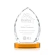 Wilton Award on Alberton Base - Amber | https://www.bestnamebadges.com