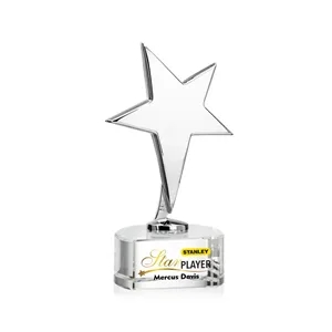 Tuscany Chrome Star VividPrint™ Award on Paragon Base-Clear | https://www.bestnamebadges.com