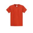 Port & Company® Essential T-Shirt | https://www.bestnamebadges.com