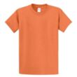 Port & Company® Essential T-Shirt | https://www.bestnamebadges.com