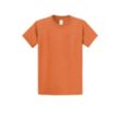 Port & Company® Essential T-Shirt | https://www.bestnamebadges.com