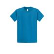 Port & Company® Essential T-Shirt | https://www.bestnamebadges.com