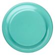 9.25" Solid Color Flying Discs | https://www.bestnamebadges.com