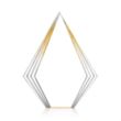 Brantley VividPrint™ Award - Gold | https://www.bestnamebadges.com