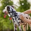 Clipster Key Tag | https://www.bestnamebadges.com