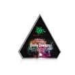 Shaper Award | https://www.bestnamebadges.com
