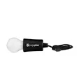 Royale Bright Idea Old Fashioned Bulb | https://www.bestnamebadges.com