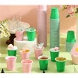 2oz Mini Plastic Shot Solo Cup | https://www.bestnamebadges.com