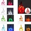 LED Lighted Dog Harness for Medium Large Dogs and Pets | https://www.bestnamebadges.com