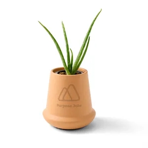 Modern Sprout® Modern Terracotta Grow Kit Aloe | https://www.bestnamebadges.com