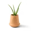 Modern Sprout® Modern Terracotta Grow Kit Aloe | https://www.bestnamebadges.com