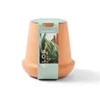 Modern Sprout® Modern Terracotta Grow Kit Aloe | https://www.bestnamebadges.com