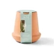 Modern Sprout® Modern Terracotta Grow Kit Aloe | https://www.bestnamebadges.com