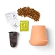 Modern Sprout® Modern Terracotta Grow Kit Aloe | https://www.bestnamebadges.com