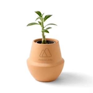 Modern Sprout® Modern Terracotta Grow Kit Bonsai | https://www.bestnamebadges.com