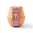 Modern Sprout® Modern Terracotta Grow Kit Bonsai | https://www.bestnamebadges.com
