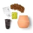Modern Sprout® Modern Terracotta Grow Kit Bonsai | https://www.bestnamebadges.com