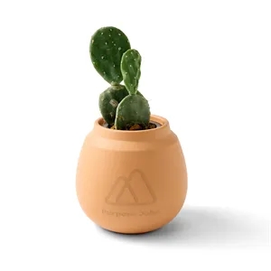 Modern Sprout Modern Terracotta Grow Kit Cactus | https://www.bestnamebadges.com