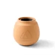Modern Sprout® Modern Terracotta Grow Kit Cactus | https://www.bestnamebadges.com