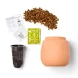 Modern Sprout® Modern Terracotta Grow Kit Cactus | https://www.bestnamebadges.com