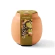 Modern Sprout® Modern Terracotta Grow Kit Cactus | https://www.bestnamebadges.com