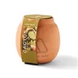 Modern Sprout® Modern Terracotta Grow Kit Cactus | https://www.bestnamebadges.com