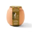 Modern Sprout® Modern Terracotta Grow Kit Cactus | https://www.bestnamebadges.com