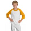 Sport-Tek Youth Colorblock Raglan Jersey - Dark/All | https://www.bestnamebadges.com