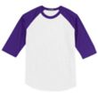 Sport-Tek Colorblock Raglan Jersey - Dark/All | https://www.bestnamebadges.com