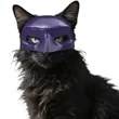 Bat Cat Avenger Mask | https://www.bestnamebadges.com