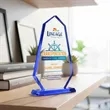 Pearson VividPrint™ Award - Blue | https://www.bestnamebadges.com