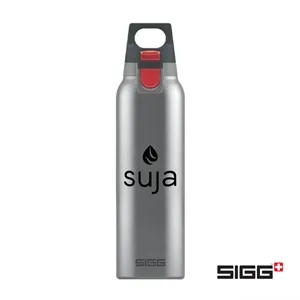 SIGG™ Hot & Cold One  Bottle - 17oz | https://www.bestnamebadges.com