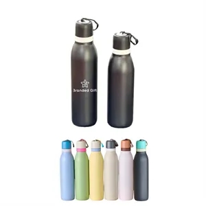 Insulated Stainless Steel Water Bottle 
