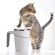 The Untippable Mug | https://www.bestnamebadges.com