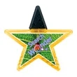 Good Value™ Star Clip | https://www.bestnamebadges.com