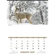 Triumph® Calendars North American Wildlife Calendar | https://www.bestnamebadges.com