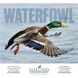 Good Value™ Waterfowl - Spiral Calendar | https://www.bestnamebadges.com