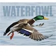 Good Value™ Waterfowl - Spiral Calendar | https://www.bestnamebadges.com