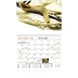 Good Value™ Jewish Life - Spiral Calendar | https://www.bestnamebadges.com