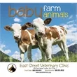 Good Value™ Baby Farm Animals - Stapled Calendar | https://www.bestnamebadges.com