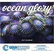 Good Value™ Ocean Glory - Stapled Calendar | https://www.bestnamebadges.com