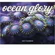Good Value™ Ocean Glory - Stapled Calendar | https://www.bestnamebadges.com