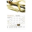 Good Value™ Jewish Life - Stapled Calendar | https://www.bestnamebadges.com