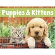 Good Value™ Puppies & Kittens - Window Calendar | https://www.bestnamebadges.com