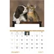 Good Value™ Puppies & Kittens - Window Calendar | https://www.bestnamebadges.com