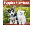 Good Value™ Puppies & Kittens - Mini Calendar | https://www.bestnamebadges.com