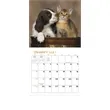 Good Value™ Puppies & Kittens - Mini Calendar | https://www.bestnamebadges.com